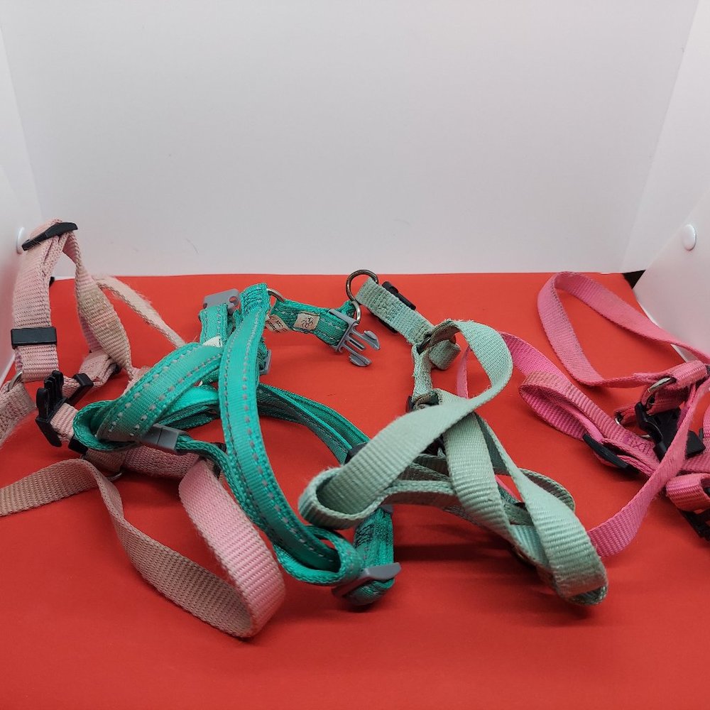 lot of 4 harnesses and a costume